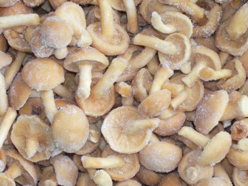 Грибная подливка из замороженных грибов самый вкусный рецепт