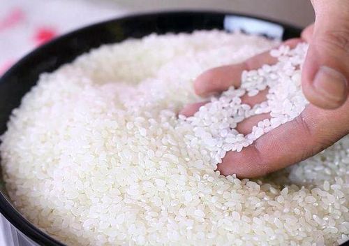 Рецепт рис для роллов в домашних условиях