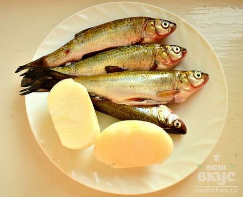 Уха из речной рыбы в домашних условиях рецепт