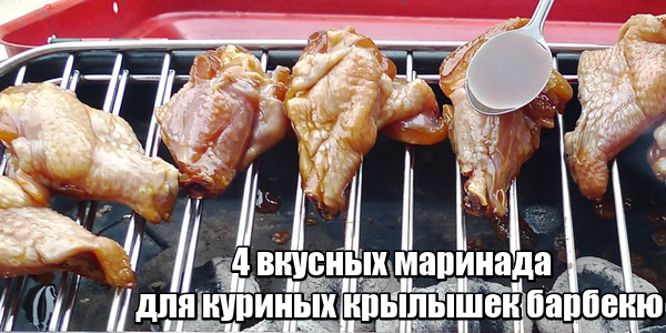 Крылья куриные на мангале рецепт