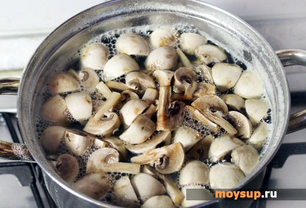 Суп грибной из шампиньонов на курином бульоне рецепт