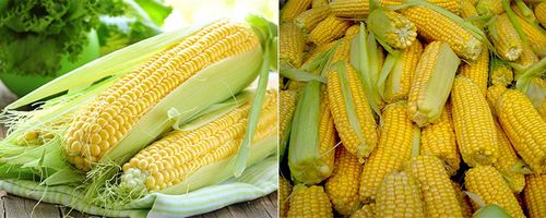 Как варить кукурузу рецепт