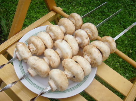 Рецепт грибов из шампиньонов