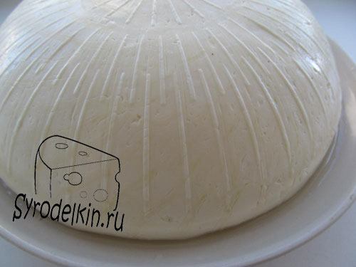 Сыр домашний с пепсином рецепт
