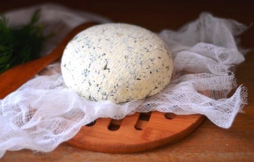 Сыр из замороженного кефира в домашних условиях рецепт